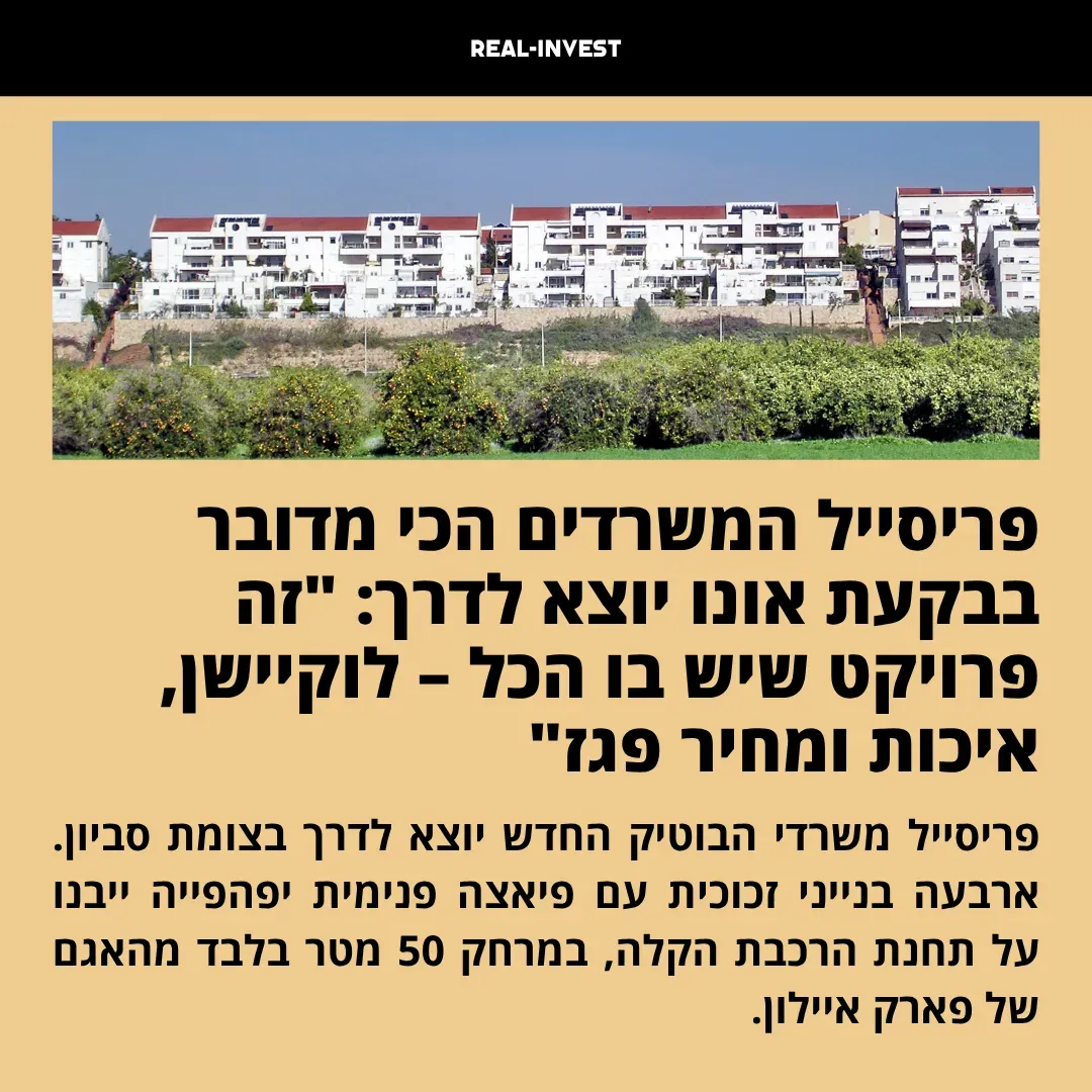 כתבה 2