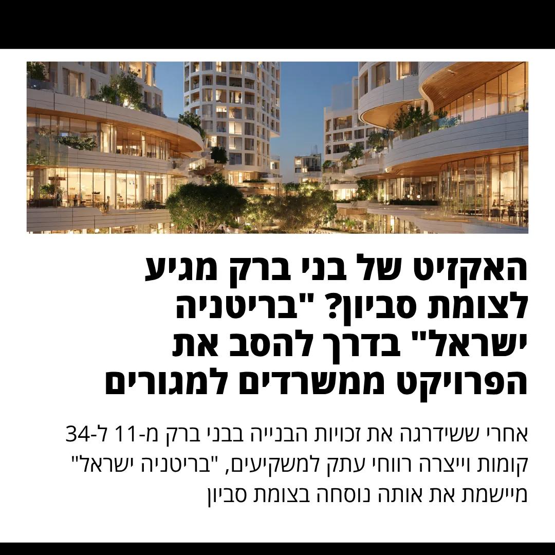 כתבה 2